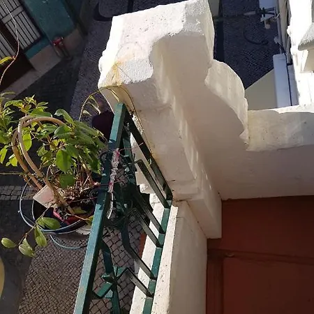Alojamento, Pensao Ferro - * Aveiro